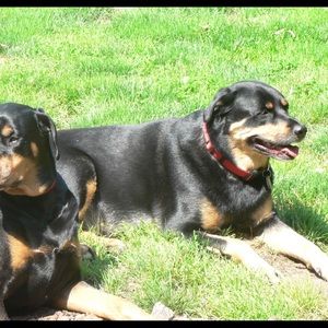 Meet your Posher, Jennie